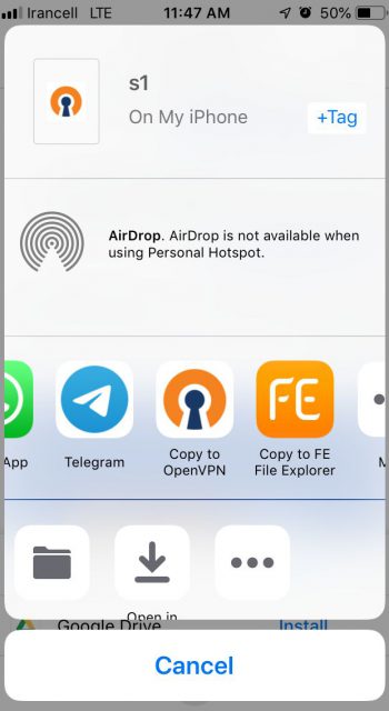 openvpn1 openvpn1